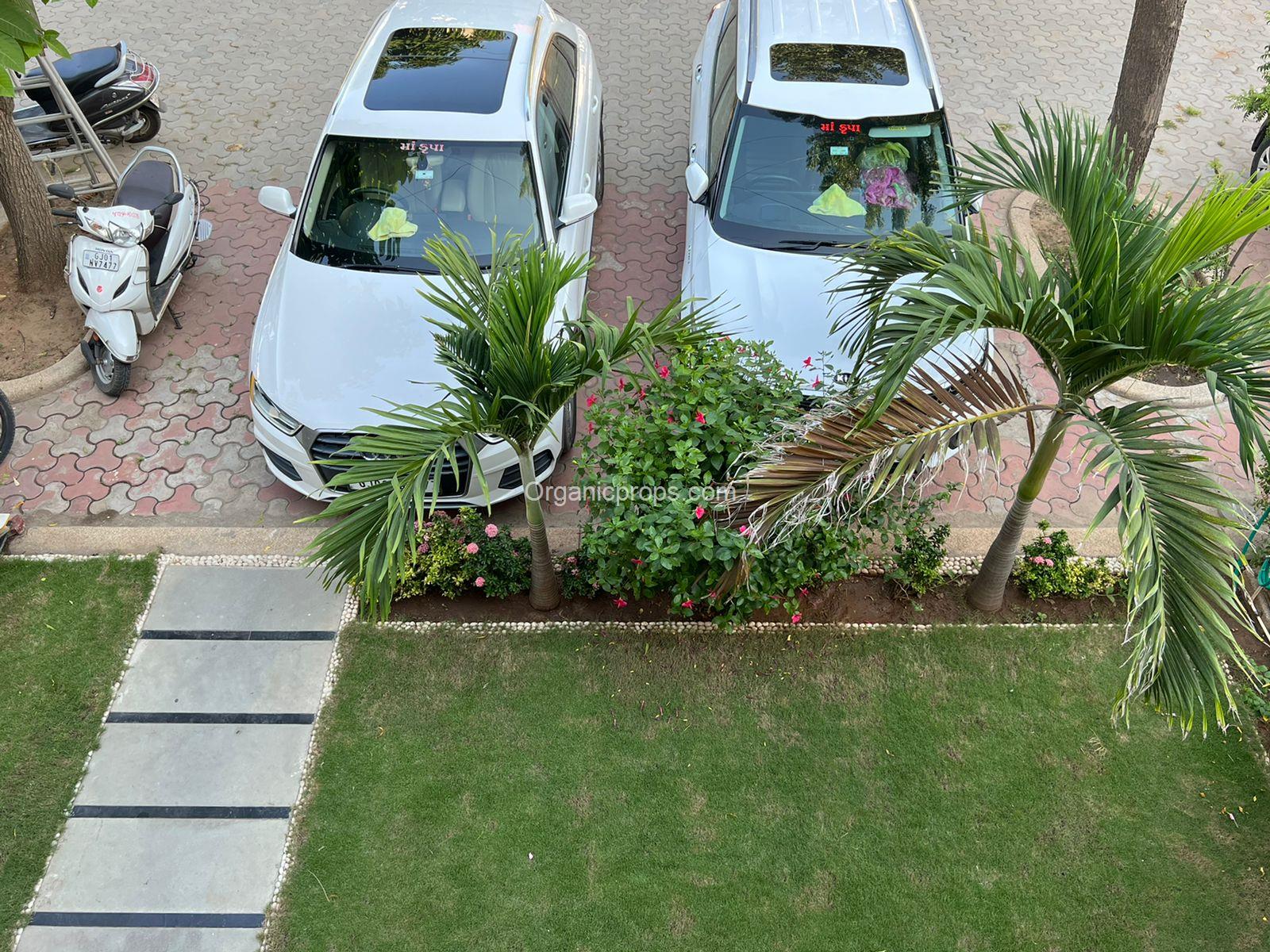 WhatsApp Image 2022-12-10 at 120221210133348508.jpeg